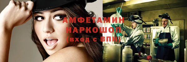 индика Каменка