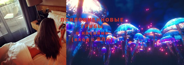 амфетамин Каменногорск
