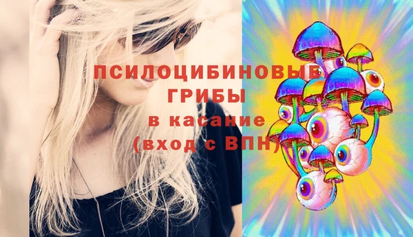 гидропоника Каменск-Шахтинский