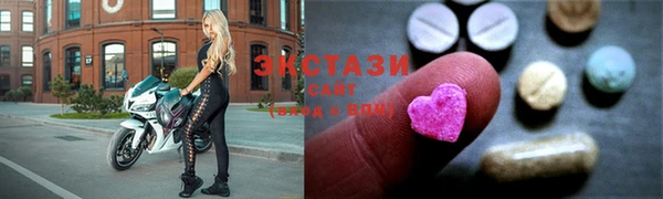 индика Каменка