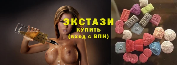 индика Каменка