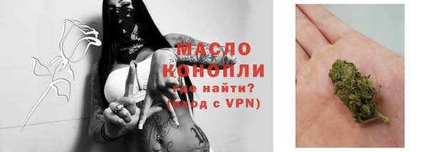 индика Каменка