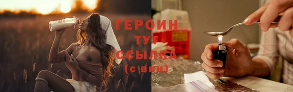 индика Каменка