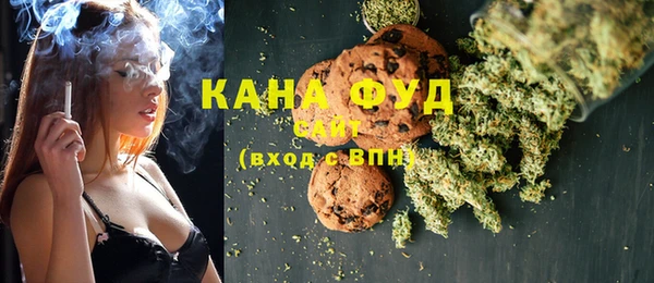 индика Каменка