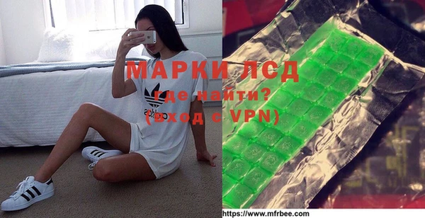 индика Каменка