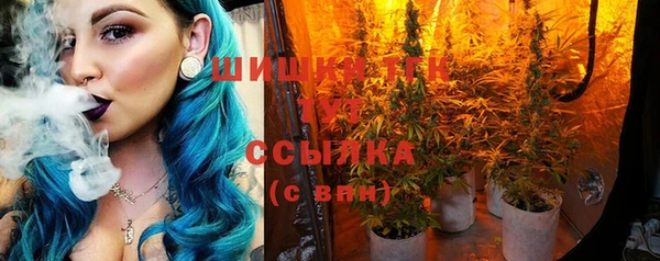индика Каменка