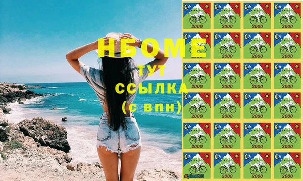индика Каменка