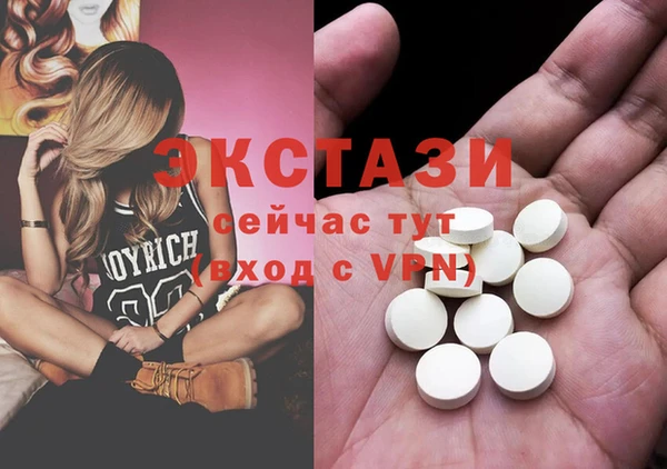 индика Каменка