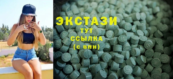 индика Каменка