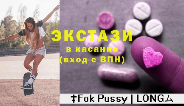 индика Каменка