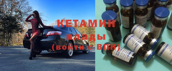 индика Каменка