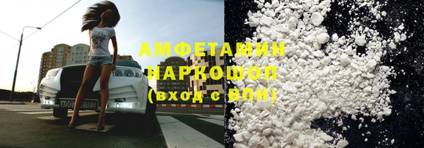 индика Каменка