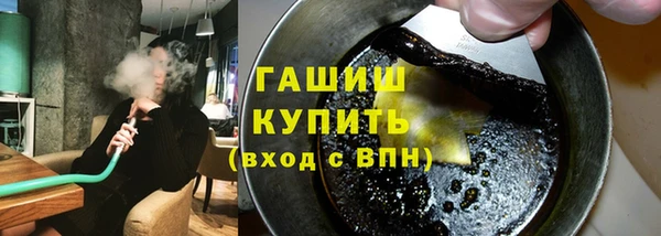 индика Каменка