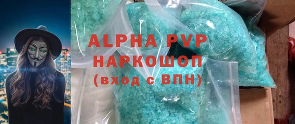 индика Каменка