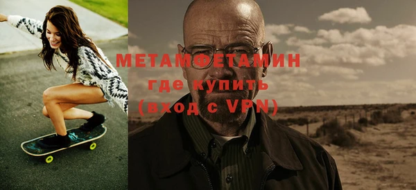 индика Каменка