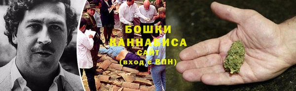 индика Каменка